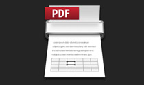 Convert your PDF file to an editable Word (DOCX) or Excel (XLSX) document.