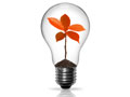 Member Ideas - light bulb with red plant growing inside