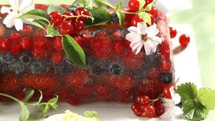 Healthy Fruit Desserts: Summer Berry Terrine