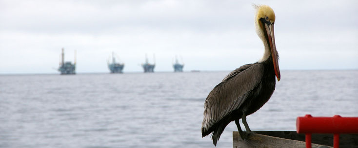 BSEE works to promote safety, environmental protection, and conservation of offshore resources through vigorous regulatory oversight and enforcement.