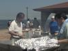 NAVFAC Far East Picnic, Long Version