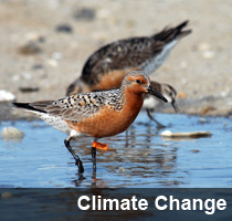 Link to Climate Change web site. 