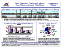 NHPI-Owned Business