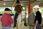 Therapeutic riding