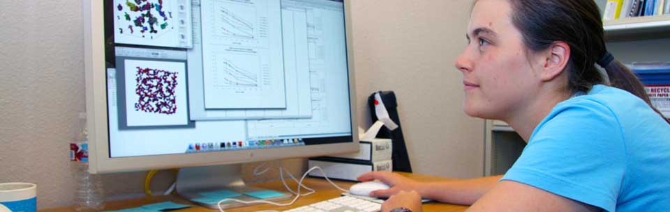 Lisa-Simulating polymer molecules for new energy storage solutions