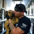 Photo: The Humane Society of the United States is one of the many non-profit organizations actively supporting response and recovery to Isaac. This adoptable dog is being loaded at Jefferson SPCA for transport to North Carolina. (photo courtesy of Humane Society)