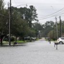 Photo: Gretna, La., Aug. 30, 2012 -- A road in Gretna, LA is flooded after Hurricane Issac dumped rain in the area. FEMA is working with local, state and other federal agencies to provide assistance to residents and businesses affected by Hurricane Isaac.