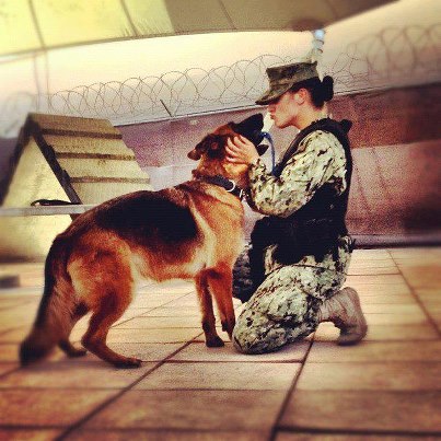 Photo: NSA Bahrain - MASN Paige Nielsen & MWD Lady have a bonding moment during an obedience session. Photo taken by MA2 Garcia.