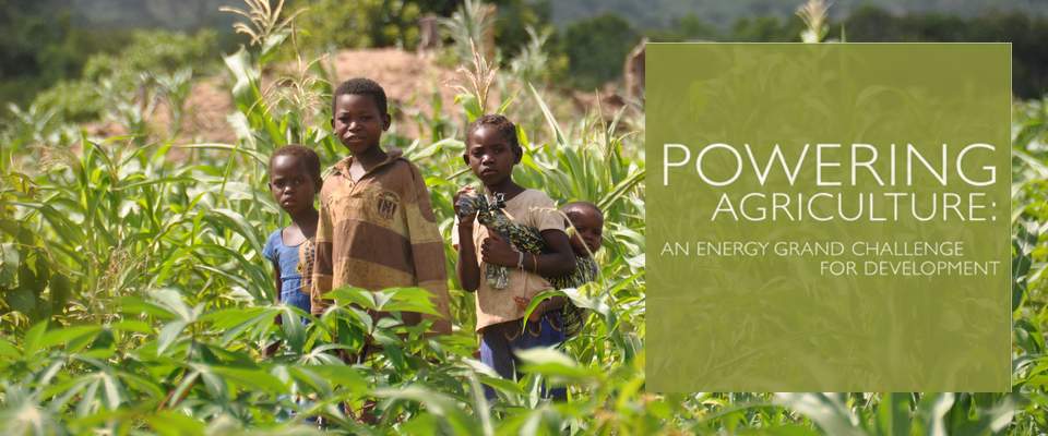 Children look on from the corn fields of Davane Mesa Paulo, a USAID Food for Peace beneficiary.