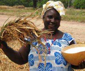 Coumbayel Coulibaly displays a calabash full of the high-yielding New Rice for Africa varietal.