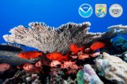 Papahānaumokuākea Marine National Monument - Honolulu, HI