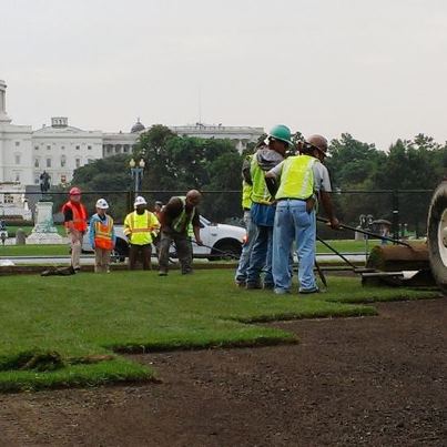 Photo: Have you seen the new turf on the National Mall? The first panel in front of the Capitol is now covered in fresh sod. More grass is getting rolled out soon.