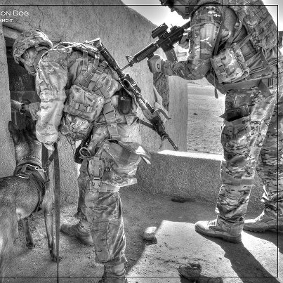 Photo: TACTICAL EXPLOSIVE DETECTION DOG - Staff Sgt. Dixon and his TEDD search a building along with paratroopers of 2nd Battalion, 504th Parachute Infantry Regiment, Ghazni Province, Afghanistan. (1/82 PAO HDR Photo Illustration)