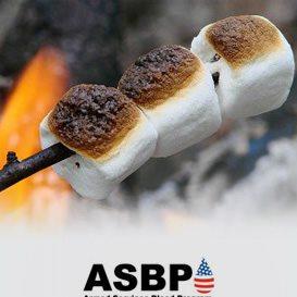 Photo: It’s National Toasted Marshmallow Day. Cookies or even, toasted marshmallows, as long as you eat something after you donate blood.