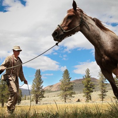 Photo: Did you know an animal packer course is one of the classes taught at the Marine Corps Mountain Warfare Training Center? In this photo a Marine exercises his mustang, Hondo.  http://dvidshub.net/r/imb6ca