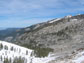 Photo of a Sierra Nevada forest in Sequoia National Park.