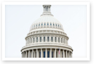 This is an image of the dome at the top of the U.S. Capitol building.