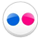 Image of Flickr Logo.