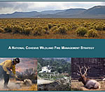 A National Cohesive Wildland Fire Management Strategy report cover.