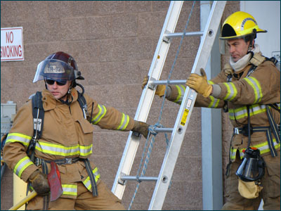 HAMMER Training