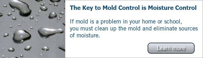 The key to mold control is moisture control.