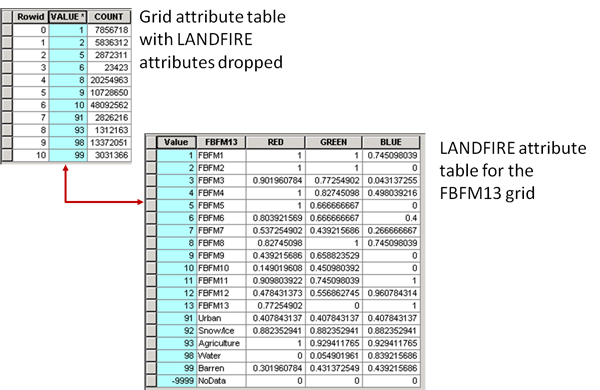 Attribute table example