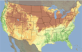 Vegetation Growth dynamic map link