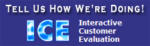 Interactive Customer Evaluation