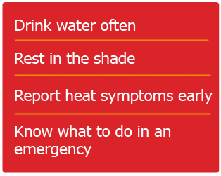 Drink water often - Rest in the shade - Report heat symptoms early - Know what to do in an emergency