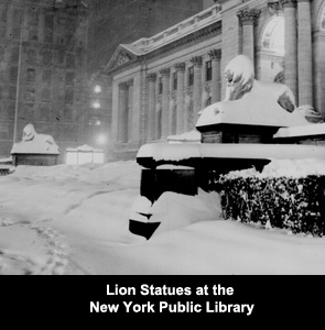 Lion Statues at the New York Public Library in the snow