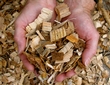 Unlike fossil fuels, wood chips are a renewable source of energy.