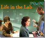 People working in lab