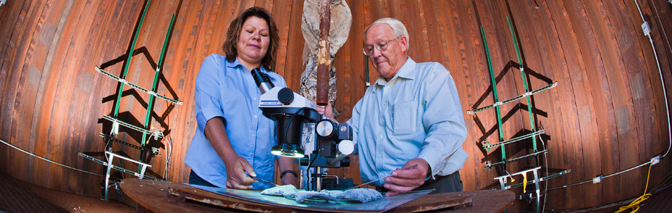 Fiery research: Sandia computers model rocket fuel fires.