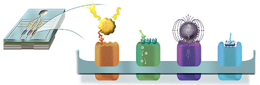 Representation of 4 types of nanosensor