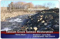 Taneum Creek Salmon Restoration