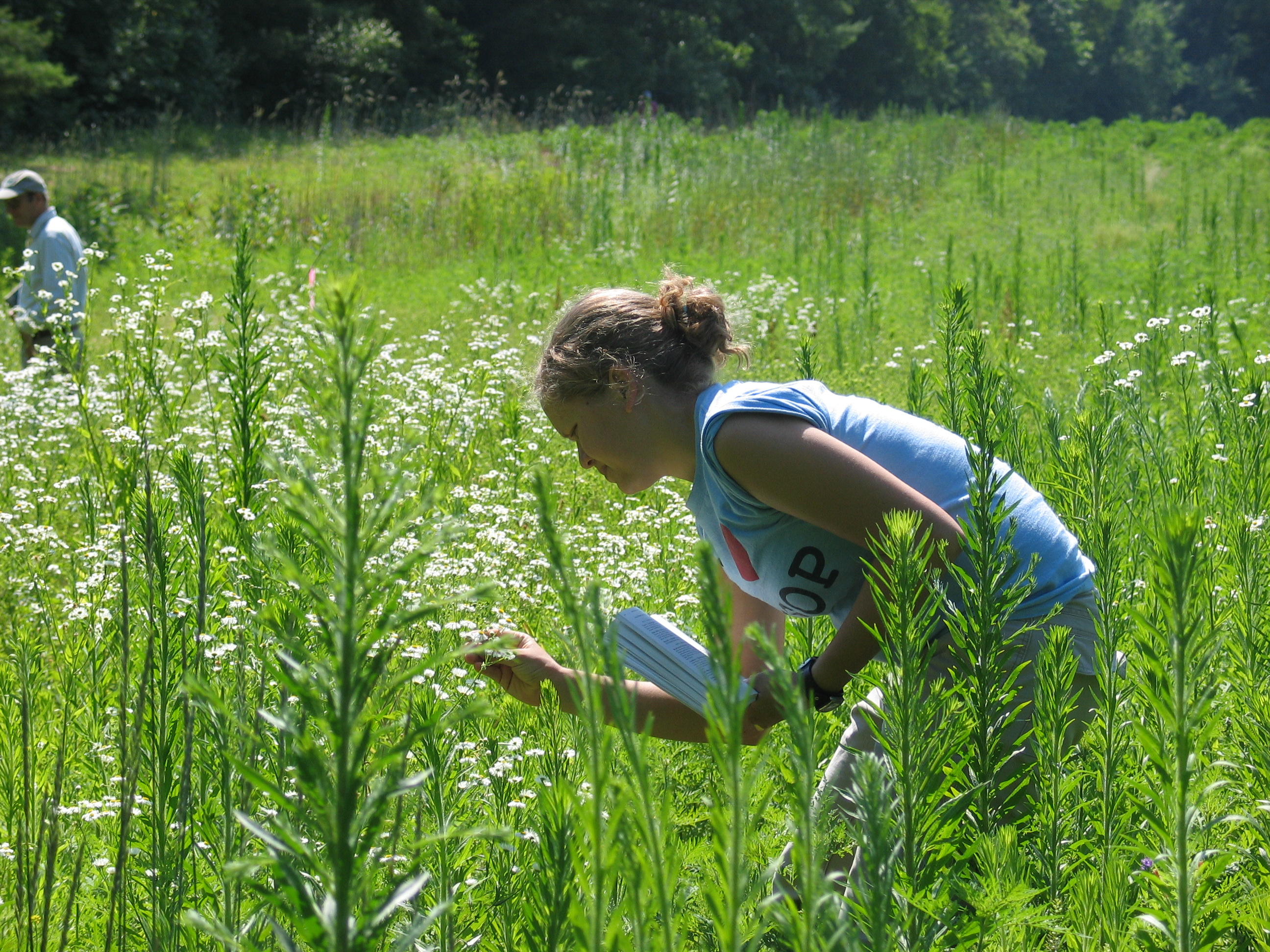 A woman examines flowers in a field, recording her observations