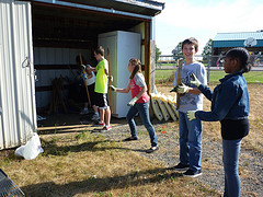 Emptying the Shed