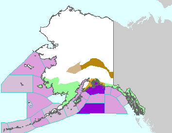 This image displays watches, warnings, statements and advisories issued by the National Weather Service