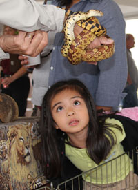 Girl looking at snake