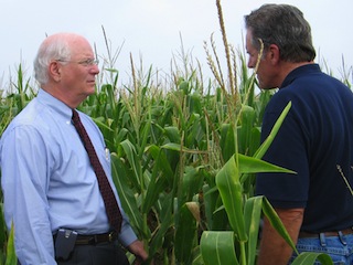 Agriculture