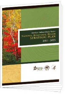 National Behavioral Health Strategic Plan: 2011-2015