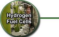 Hydrogen Fuel Cells