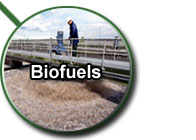 Biofuels