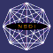 nsdi logo