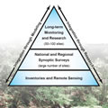 Reference site network pyramid