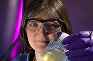 Biofuels research photo