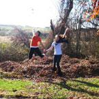 Best Leaf Jumping Photo