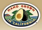 California Avocado Commission - Avocados & Guacamole Recipes