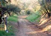 Santa Monica Mountains Hiking Trail