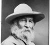 Walt Whitman, 1870